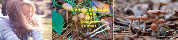 крисы Абинск