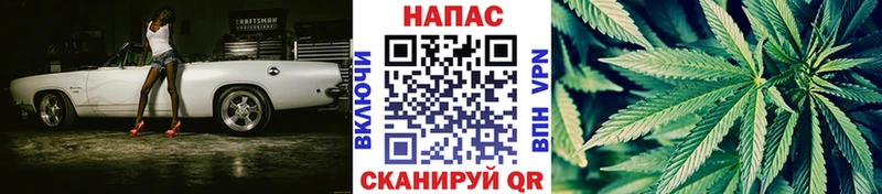МАРИХУАНА планчик Томилино